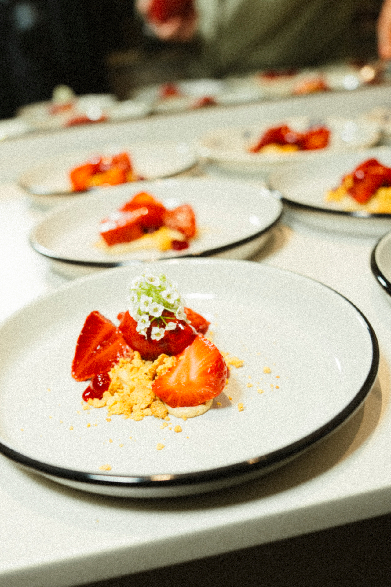 Fresas/Chile/Hibisco